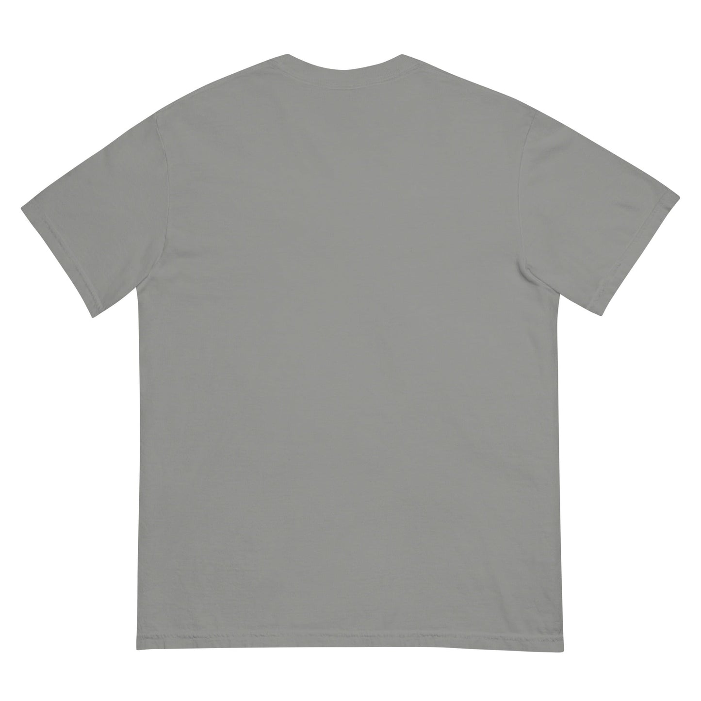 Peak State Mountain Unisex garment - dyed heavyweight t-shirt - The Shop at Peak State Recovery