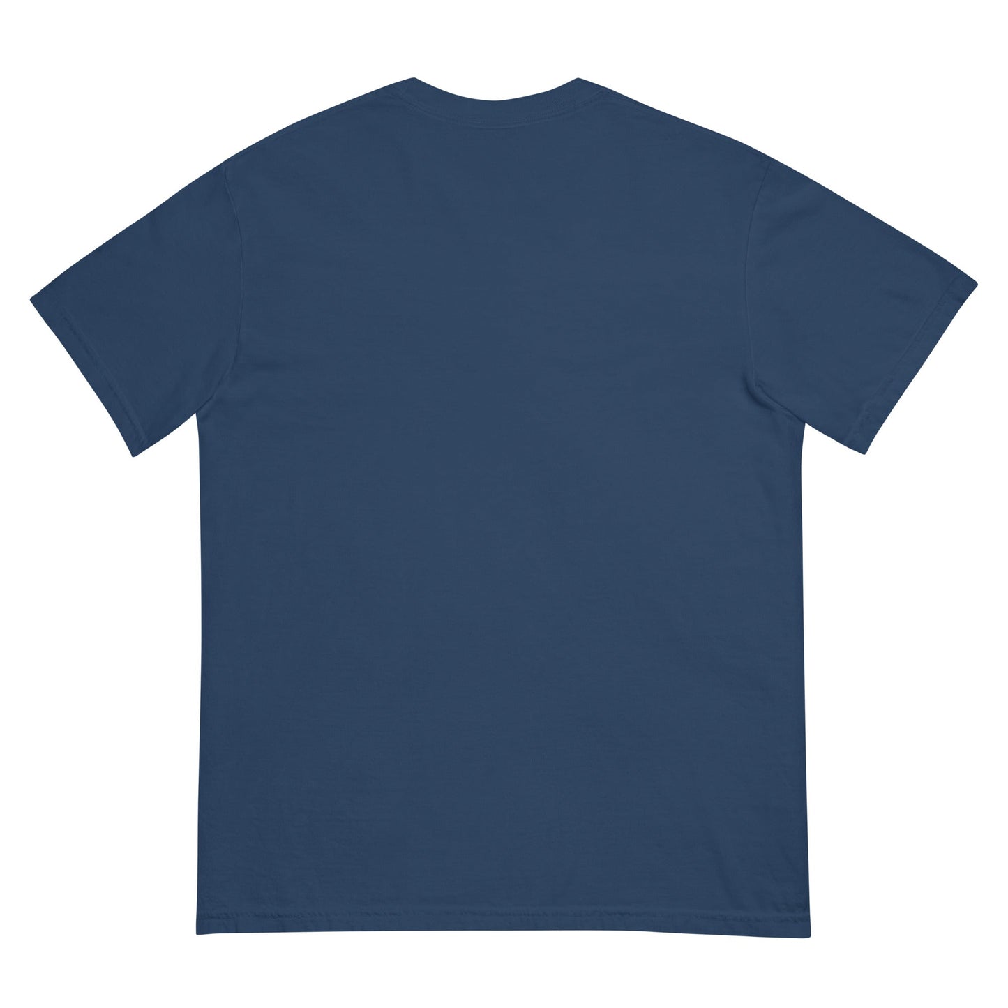 Peak State Mountain Unisex garment - dyed heavyweight t-shirt - The Shop at Peak State Recovery