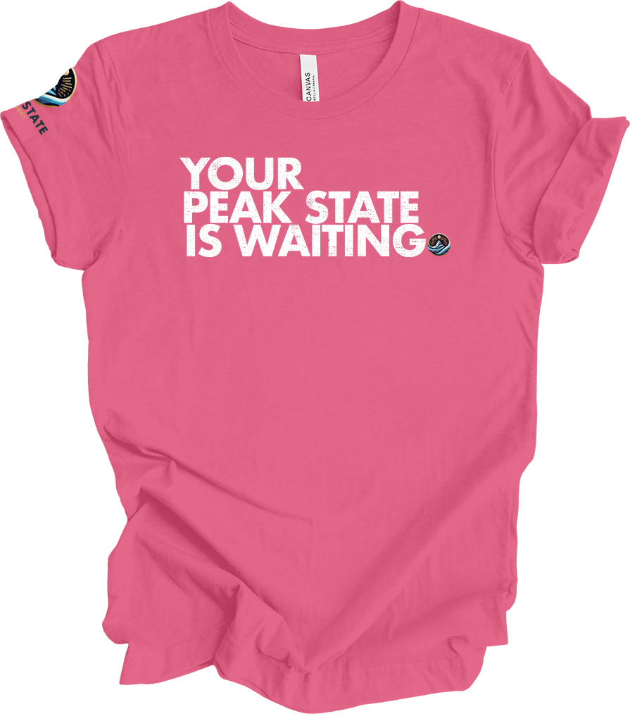 Your Peak State is Waiting Unisex t-shirt - The Shop at Peak State Recovery