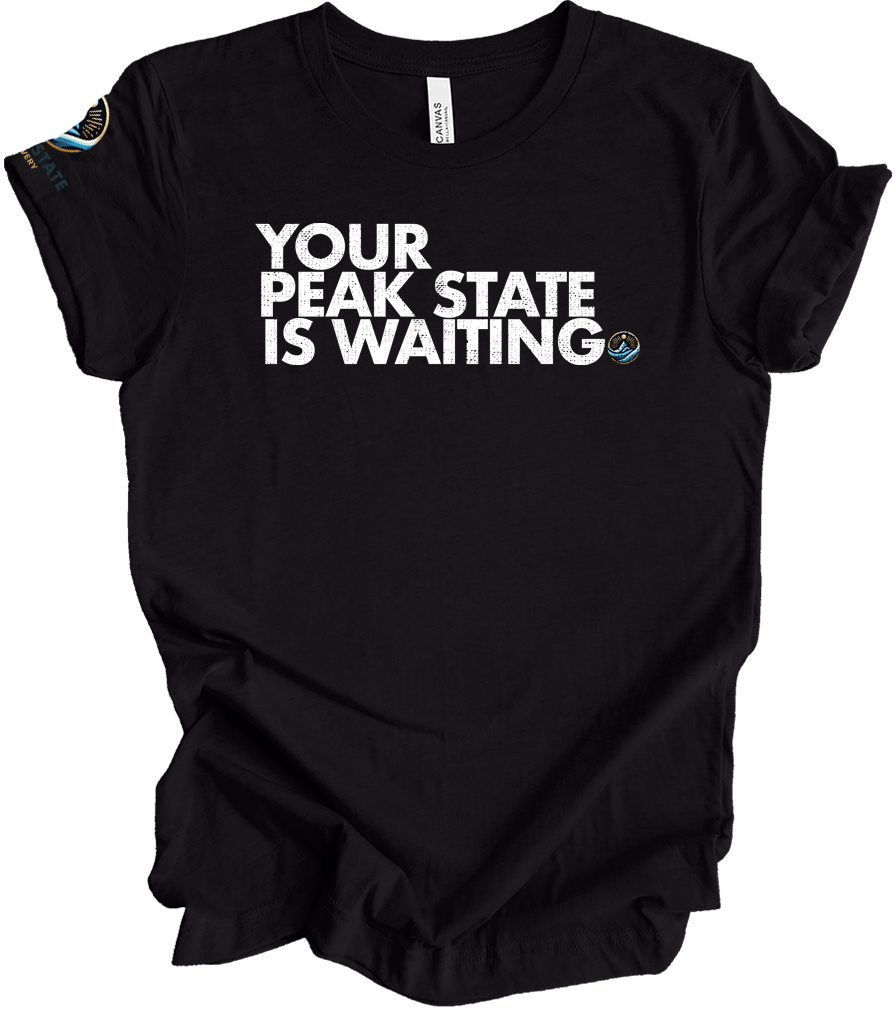 Your Peak State is Waiting Unisex t-shirt - The Shop at Peak State Recovery